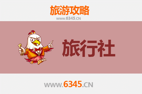 天津津南本地旅行社推荐及深度游玩攻略