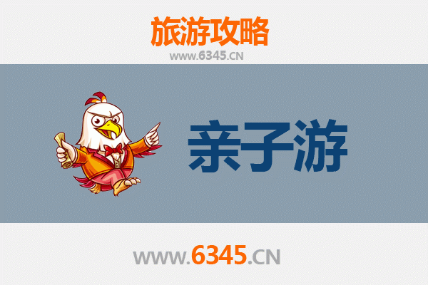 天津津南亲子游全攻略：探索自然与文化的家庭乐趣