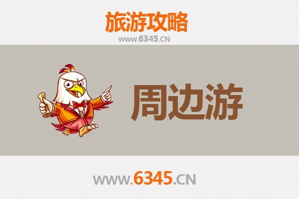 天津津南周边游全攻略：探索城市后花园的隐秘乐趣